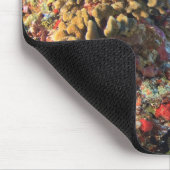 Regal Angelfish Pygoplites diacanthus)、 マウスパッド (コーナー)