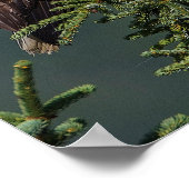 Regal Bald Eagle ポスター (角)