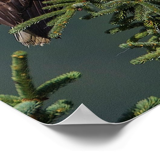 Regal Bald Eagle ポスター (角)