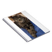 Regal Daveフォトノートブック(80ページ) ノートブック (右側)