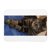 Regal Dave 3"x4"フォトマグネット マグネット (横)