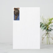 Regal Dave 5.5インチx 8.5インチ文房具 便箋 (スタンド正面)