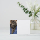 Regal Dave Chubby名刺 名刺 (スタンド正面)