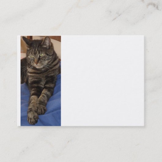 Regal Dave Chubby名刺 名刺 (正面)