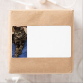 Regal Dave Sippingラベル ラベル (インサイチュ)