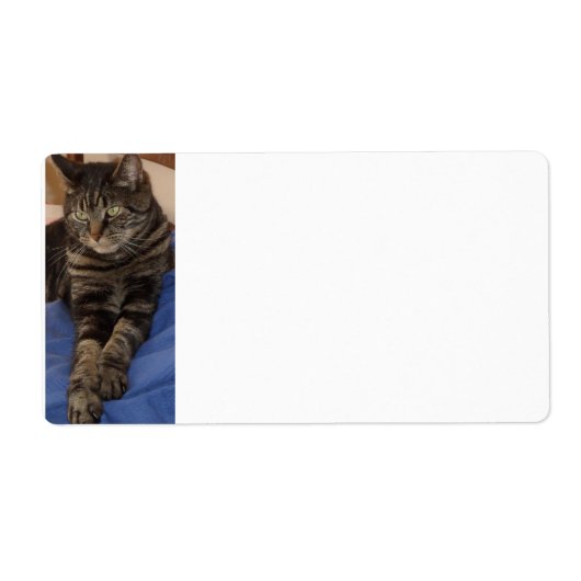 Regal Dave Sippingラベル ラベル (正面)