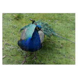 Regal Peacock Power カッティングボード