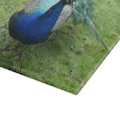 Regal Peacock Power カッティングボード (角)