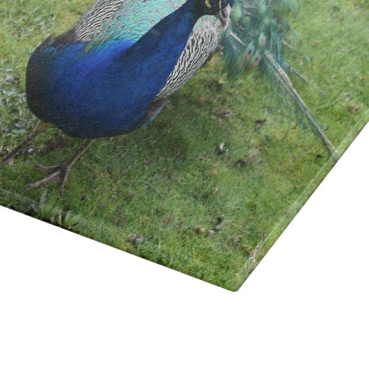Regal Peacock Power カッティングボード (角)