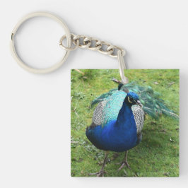 Regal Peacock Power  キーホルダー
