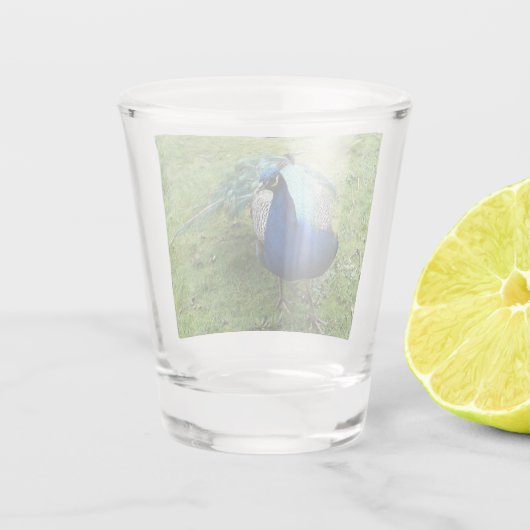 Regal Peacock Power  ショットグラス (裏面)