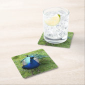 Regal Peacock Power  スクエアペーパーコースター (インサイチュ)