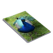 Regal Peacock Power ノートブック (右側)