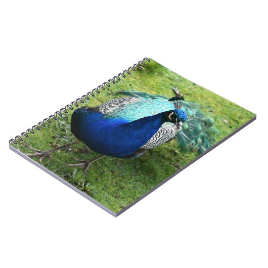 Regal Peacock Power ノートブック (左側)