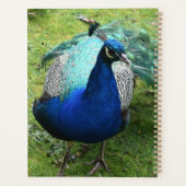 Regal Peacock Power プランナー手帳 (裏面)