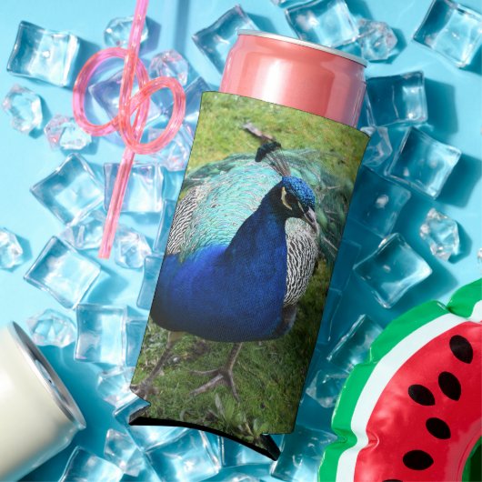 Regal Peacock Power Cooler スリム缶クーラー (インサイチュ 夏)