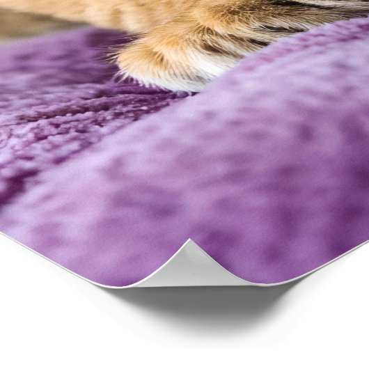 Regal Pride - Wall Art Print ポスター (角)