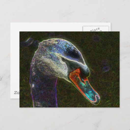 Regal Swanデジタルアート自然写真はがき ポストカード (正面/裏面)