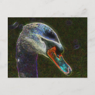 Regal Swanデジタルアート自然写真はがき ポストカード
