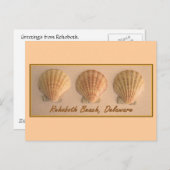 Rehobothビーチ、デラウェア葉書 ポストカード (正面/裏面)