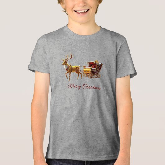 Reindeer Christmas Sleigh Holiday トライブレンドTシャツ (正面)