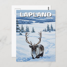 Reindeer in Lapland Finland Travel ポストカード