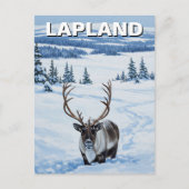 Reindeer in Lapland Finland Travel ポストカード (正面)