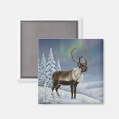 Reindeer in Lapland Finland Travel マグネット (正面/裏面)