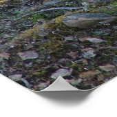 Reindeer in Lapland poster ポスター (角)