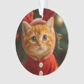 Reindeer Kitten オーナメント (正面)