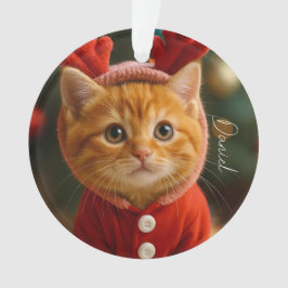 Reindeer Kitten オーナメント