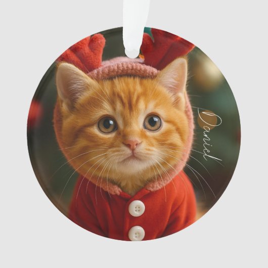 Reindeer Kitten オーナメント (正面)