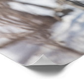 Reindeer Nature Photo ポスター (角)