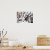 Reindeer Nature Photo ポスター (キッチン)