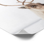 Reindeer Nature Photo ポスター (角)
