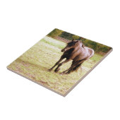 Relaxed Brown Horse Walking タイル (側面)