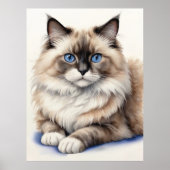 Relaxed Ragdoll Cat Illustration Cozy Pet ポスター (正面)