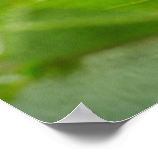 Relaxing ポスター (角)