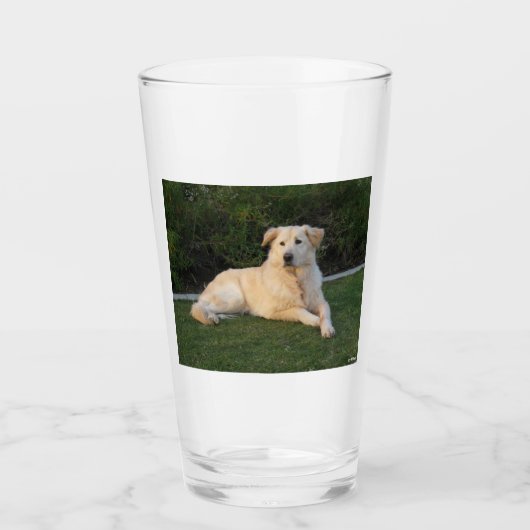 Relaxing Dog タンブラーグラス (正面)