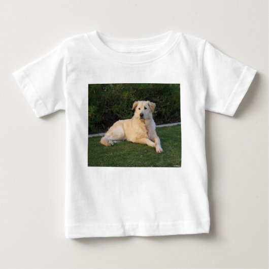 Relaxing Dog ベビーTシャツ (正面)