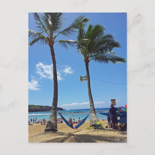 Relaxing on a Hawaii Beach ポストカード (正面)