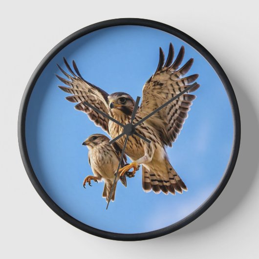 Reloj de pared 壁時計 (正面)