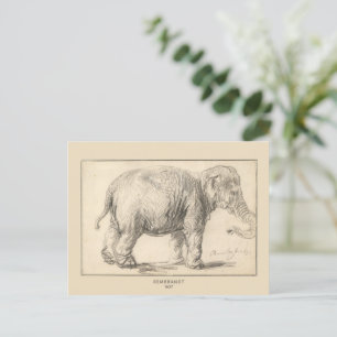 Rembrandt, An elephant, 1637, Fine Art ポストカード