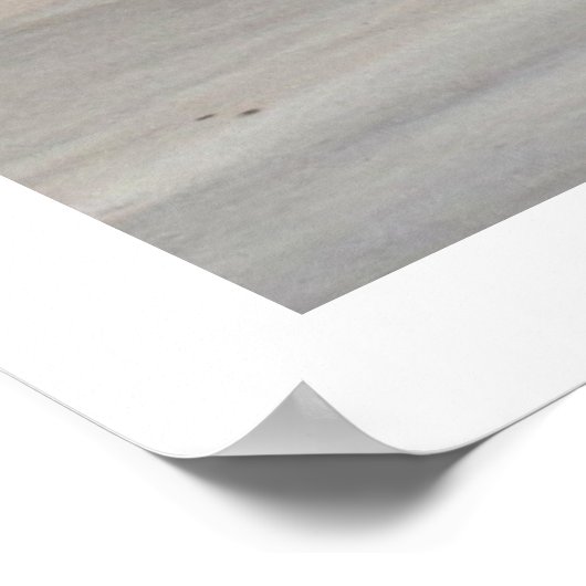 Remember Reliant Stadium Poster ポスター (角)