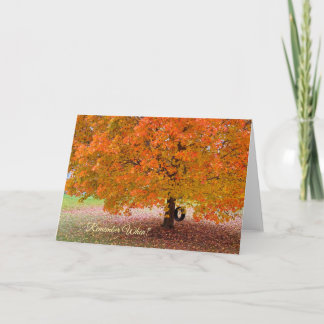 Remember When? シーズンカード