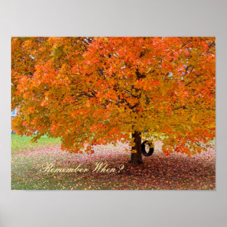 Remember When? ポスター