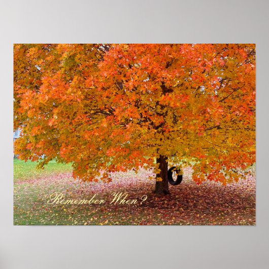 Remember When? ポスター (正面)