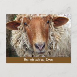 Reminding Ewe:リマインダカード 案内ポストカード