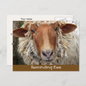 Reminding Ewe:リマインダカード 案内ポストカード (正面/裏面)