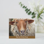 Reminding Ewe:リマインダカード 案内ポストカード (スタンド正面)
